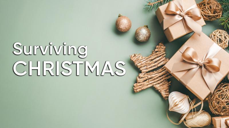 Surviving Christmas